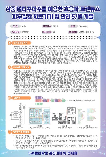 삼중 멀티주파수를 이용한 초음파트랜듀스 피부질환 치료기기 및 관리 SW개발